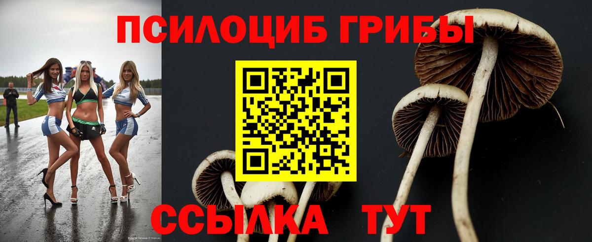 Трёхгорный  Галлюциногенные грибы прущие грибы  Вход с VPN 