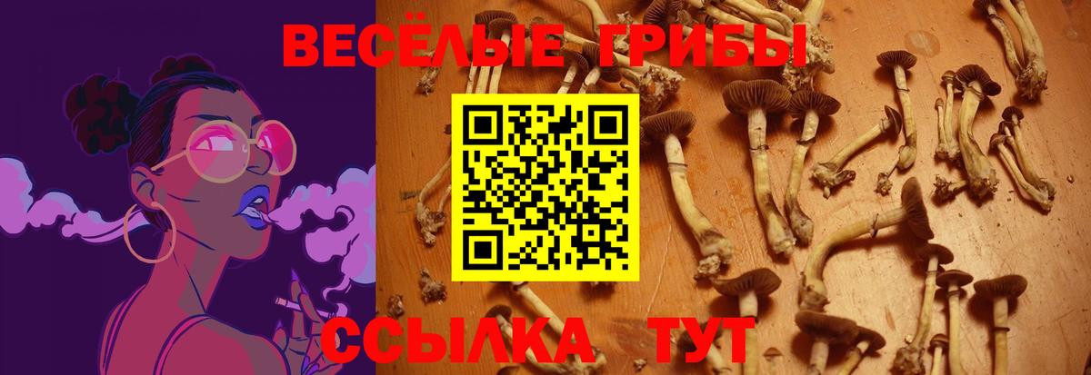 Галлюциногенные грибы прущие грибы Трёхгорный